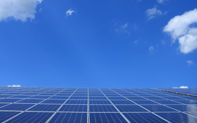 Beyond the Panels: 5 Fascinating Solar Energy Facts You Might Not Know