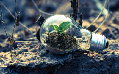 A Brighter Horizon: Why Moving Beyond Fossil Fuels is Humanity’s Best Bet